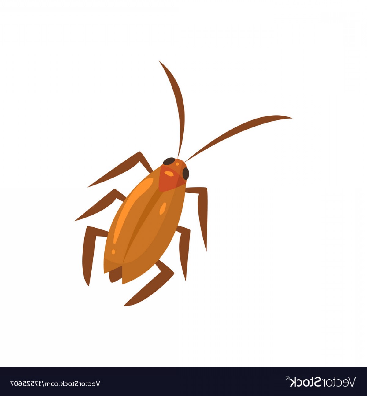 1200x1296 Brown Cockroach Insect Cartoon Vector Sohadacouri