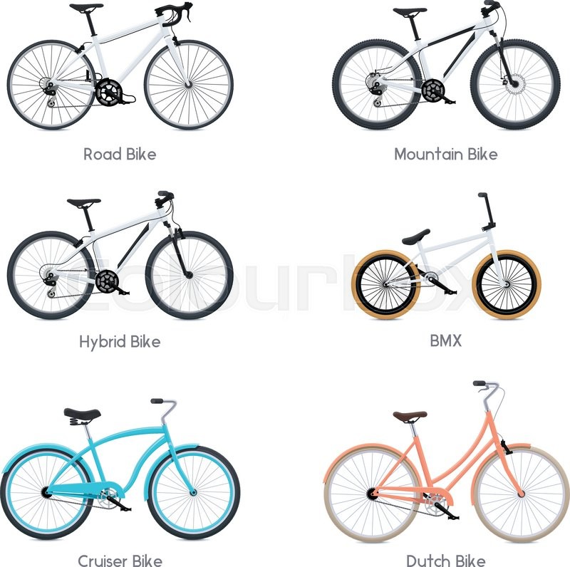 800x796 Set Of The Different Vector Bicycles