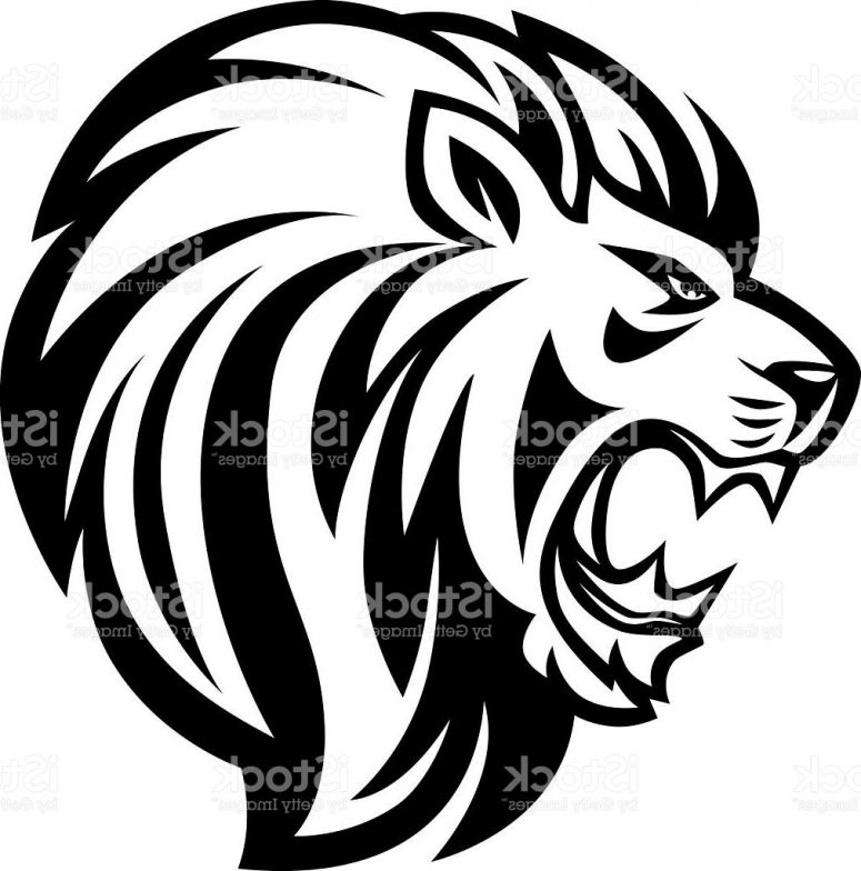 775x784 Unique Angry Lions Roaring Vector Images Vector Images Stocks