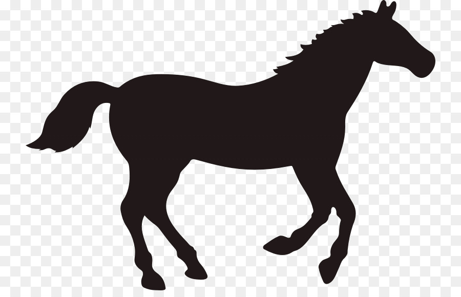 900x580 Rocky Mountain Horse Vector Graphics Clip Art Black