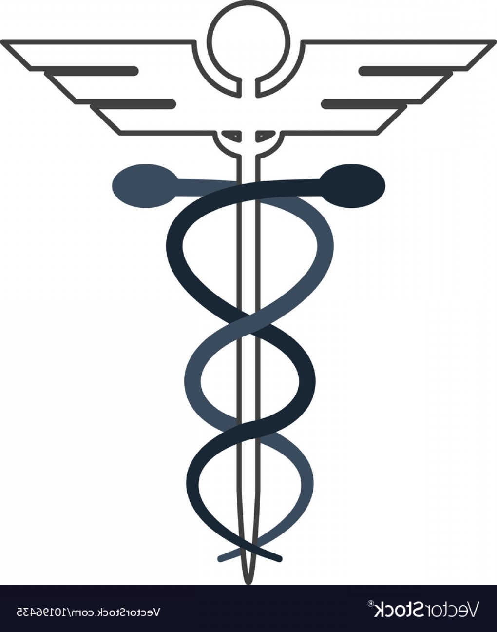 Rod Of Asclepius Vector At Getdrawings Free Download