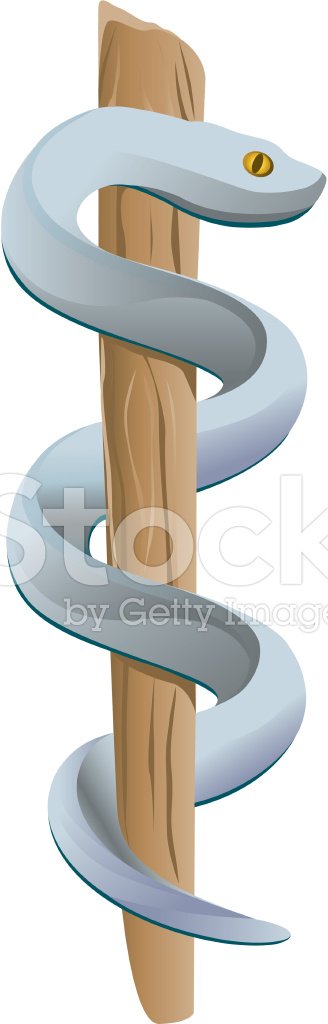 328x1024 Rod Of Asclepius Stock Vectors