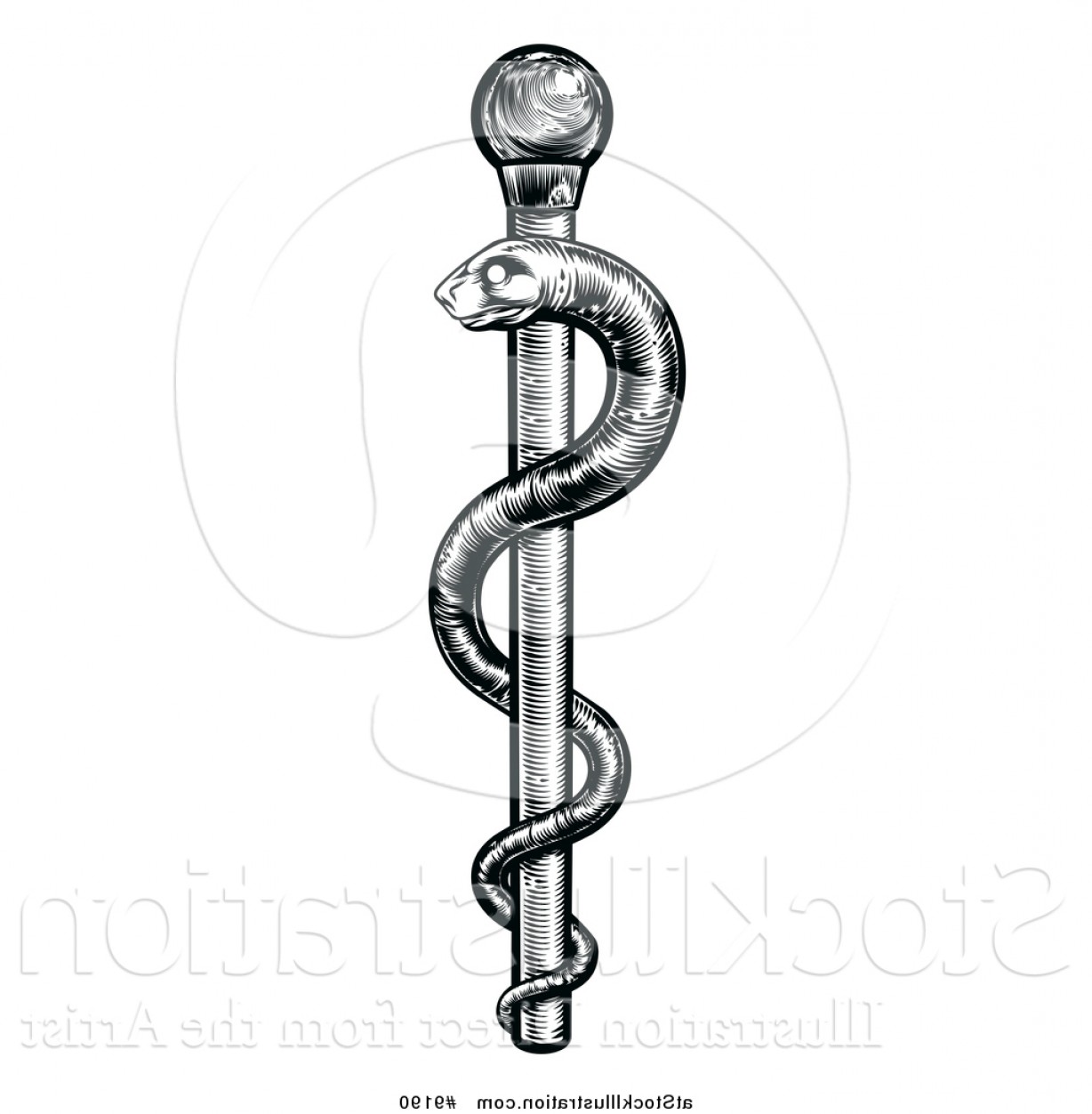 1228x1252 Vector Illustration Of A Black And White Woodcut Or Engraved