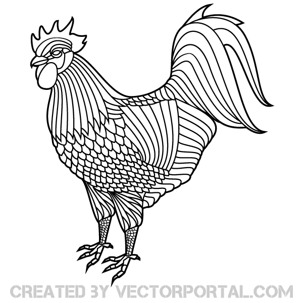 600x600 Free Rooster Vector Clipart Psd Files, Vectors Amp Graphics