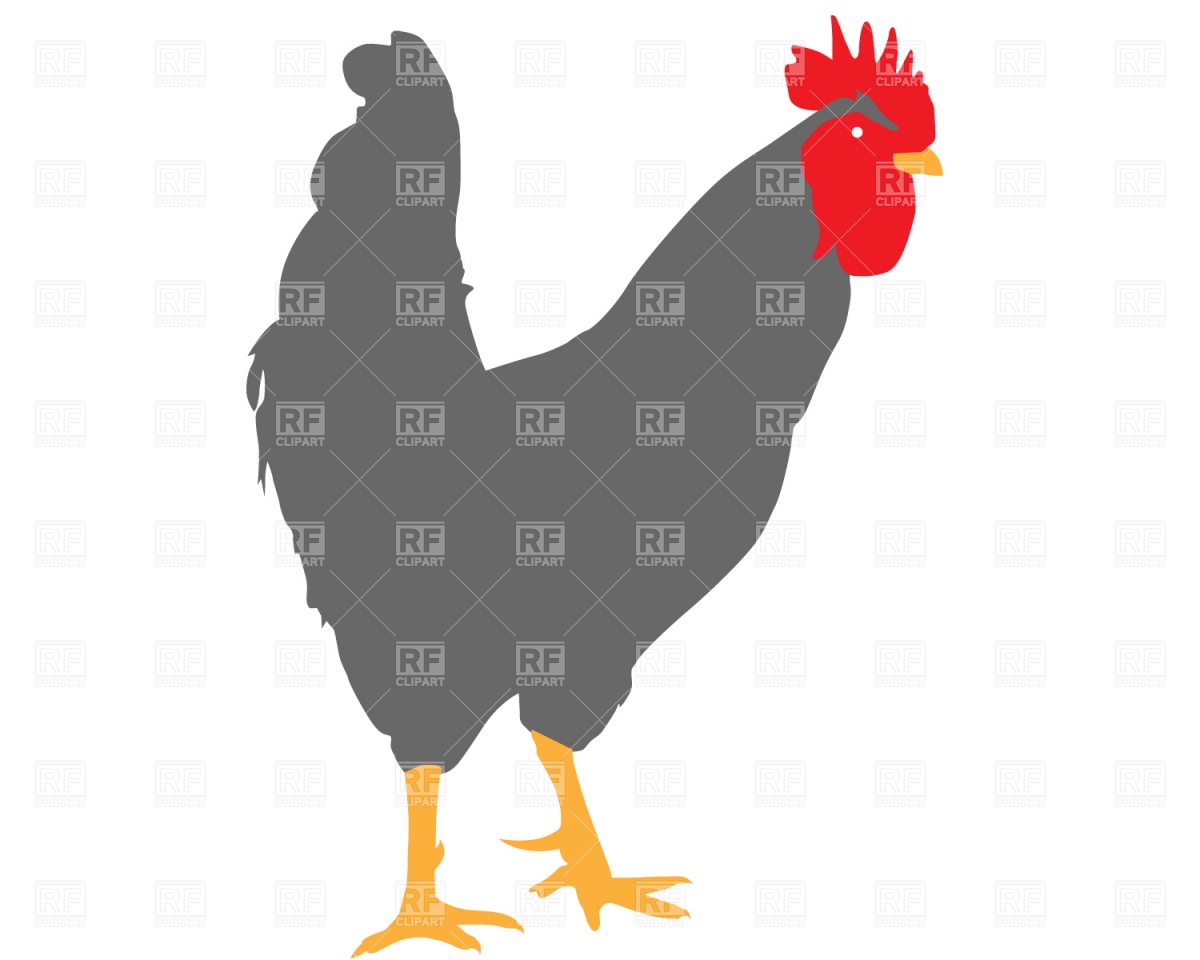 1200x960 Rooster Vector Image Vector Artwork Of Plants And Animals
