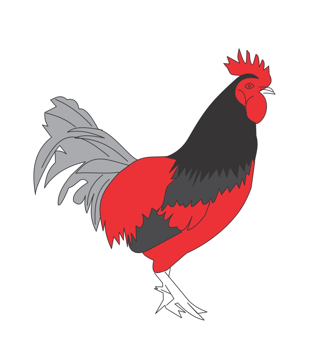 1000x1179 Image Strokes Free Vectors