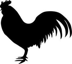 236x210 Collection Of Rooster Clipart Vector High Quality, Free