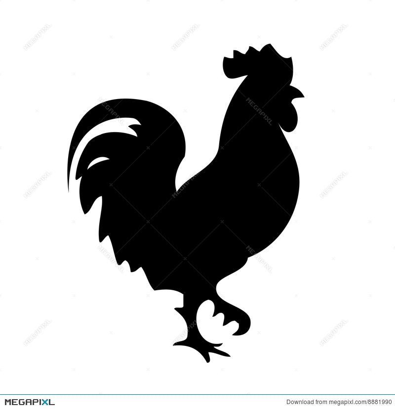 800x830 Rooster Vector Silhouette Illustration 8881990