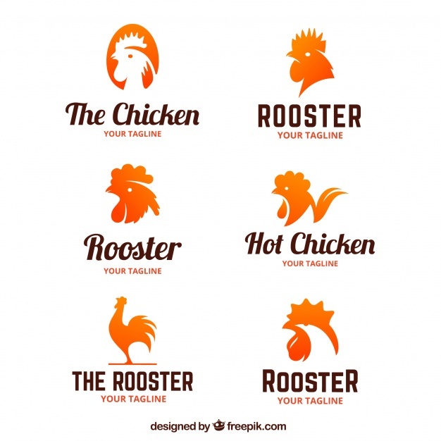 626x626 Rooster Vectors, Photos And Psd Files Free Download