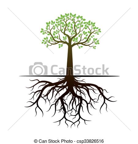 450x470 Green Tree And Roots. Vector Illustration. Vector Clip Art