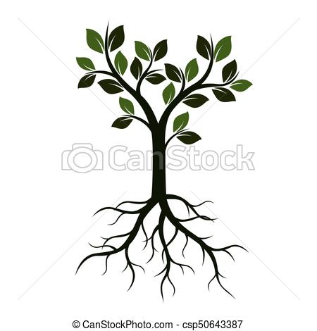 450x470 Green Tree With Leaves And Roots. Vector Illustration. Vector