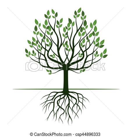 450x470 Green Tree With Roots. Vector Illustration. Vectors