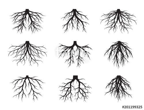 500x385 Set Black Roots. Vector Illustration. Stock Image And Royalty