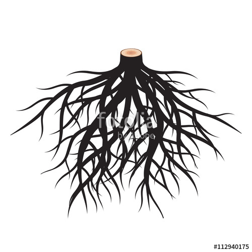 500x500 Set Of Black Roots. Vector Illustration. Stock Image And Royalty