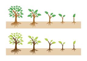 286x200 Tree Roots Vector