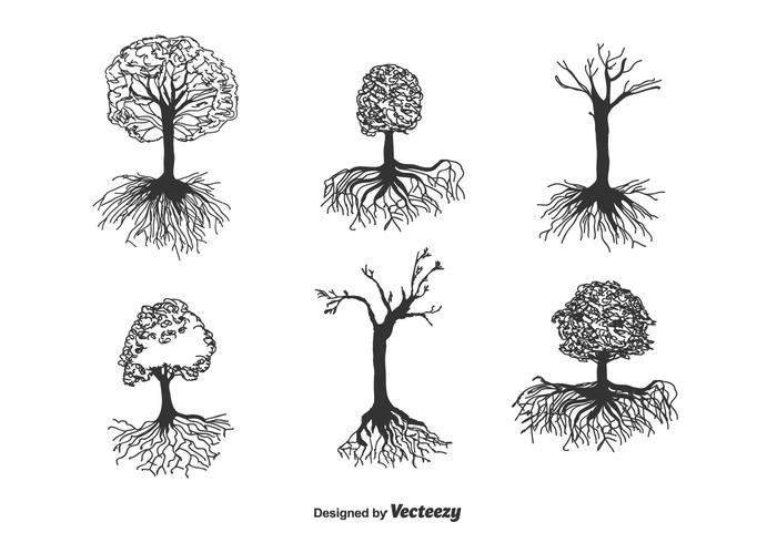 700x490 Tree With Roots Vector
