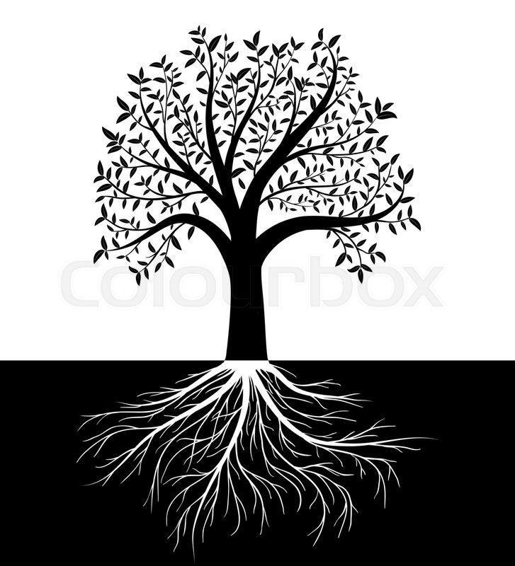727x800 Tree Silhouette With Leaves And Roots Vector Background Stock