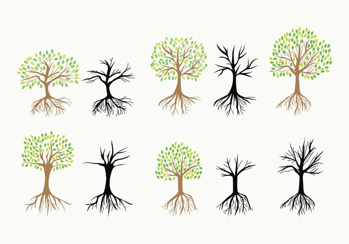700x490 Tree With Roots Vector Icons