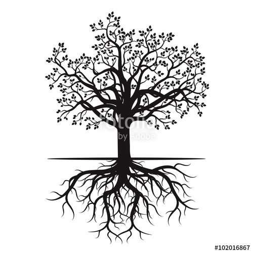500x500 Black Tree And Roots. Vector Illustration. Stock Image And