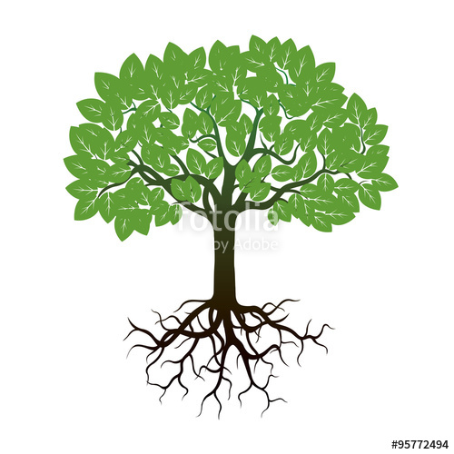 500x500 Color Tree And Roots. Vector Illustration. Stock Image And