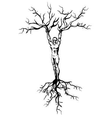 380x400 Drawn Roots Vector