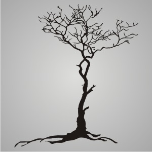 300x300 Root Tree Vector