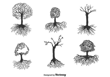 352x247 Tree With Roots Vector Free Vector Download 435611 Cannypic