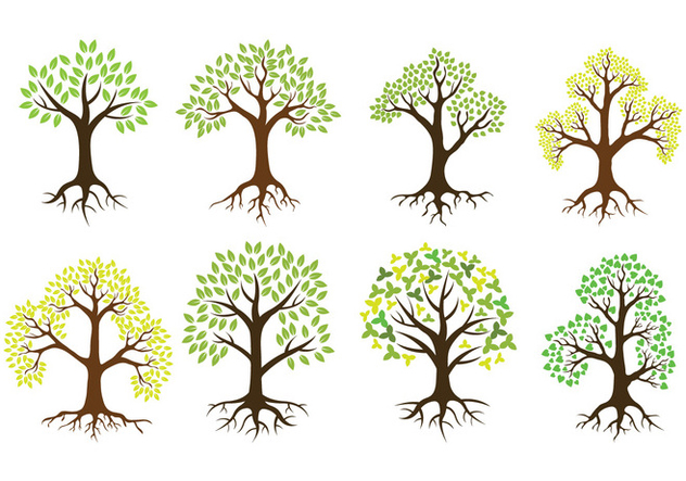 632x443 Tree With Roots Vector Icons Free Vector Download 441969 Cannypic
