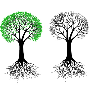 380x400 Collection Of Tree Roots Drawing Vector High Quality, Free