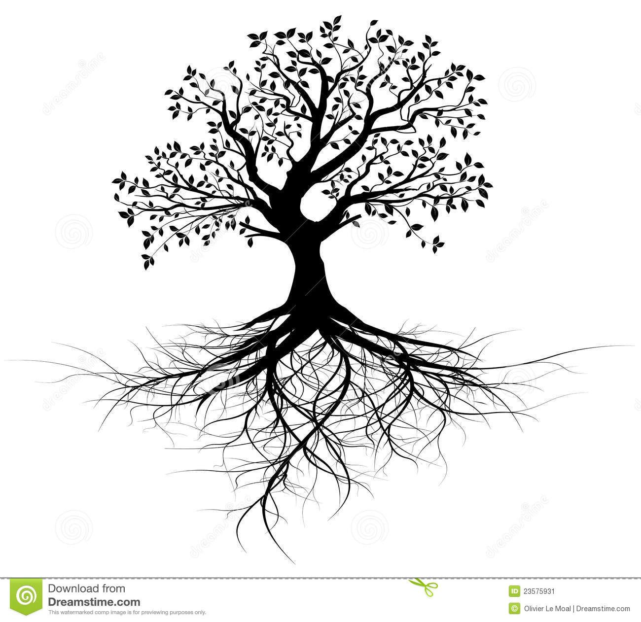 1300x1262 Whole Black Tree With Roots