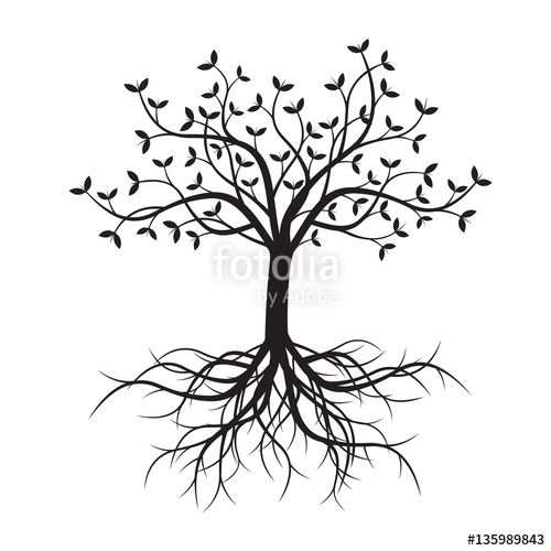 500x500 Black Tree And Roots. Vector Illustration. Stock Image And