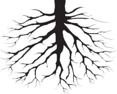386x311 Collection Of Free Roots Vector Draw. Download On Ubisafe