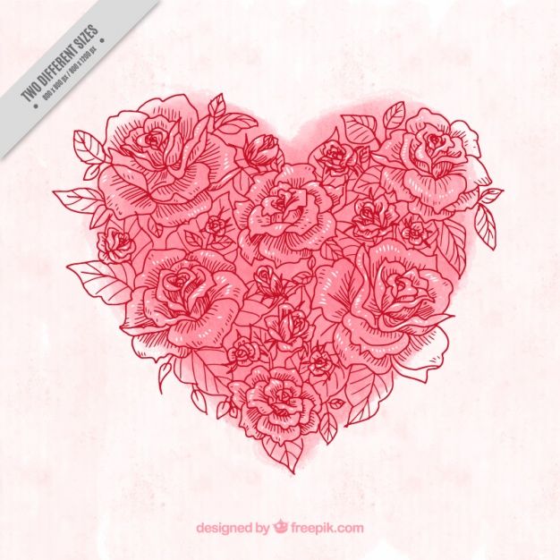 626x626 Fondo De De Acuarela Hecho De Bocetos De Rosa Vector