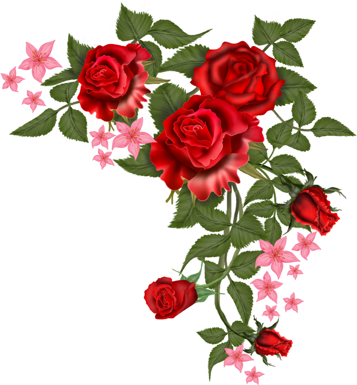 695x750 Flowers Vector Rosa Png
