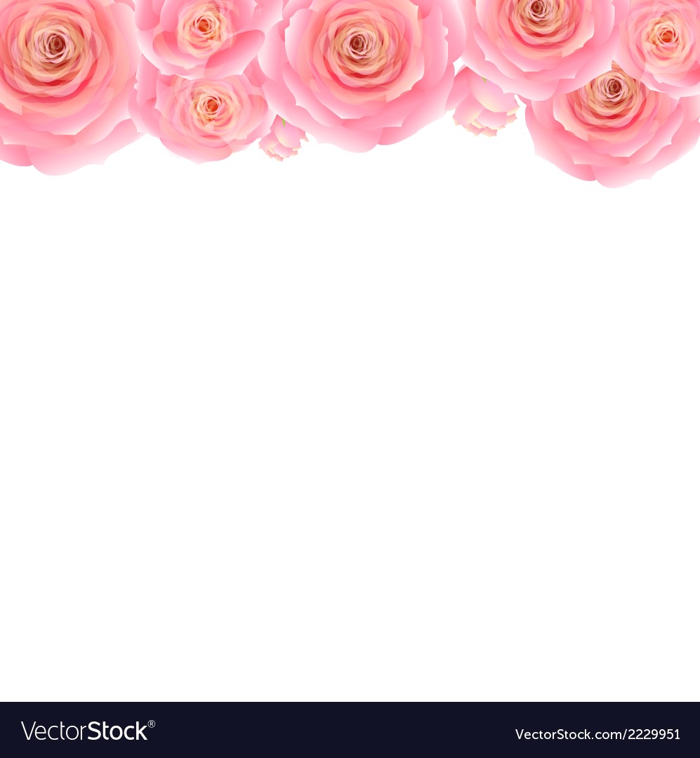 997x1080 Pastel Pink Rose Border Vector 2229951 13