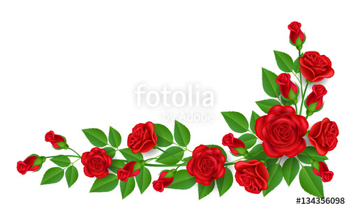 500x299 Realistic Red Rose Illustration With Green Leaf, For Corner And