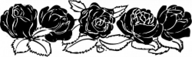 626x187 Rose Border Vector Free Download
