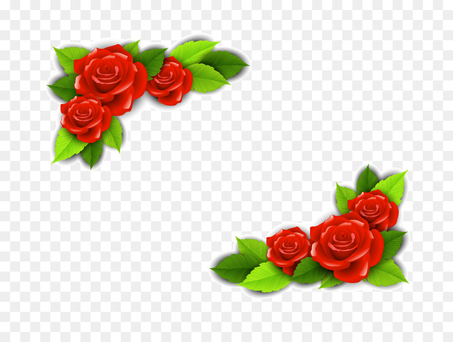 900x680 Beach Rose Flower Adobe Illustrator