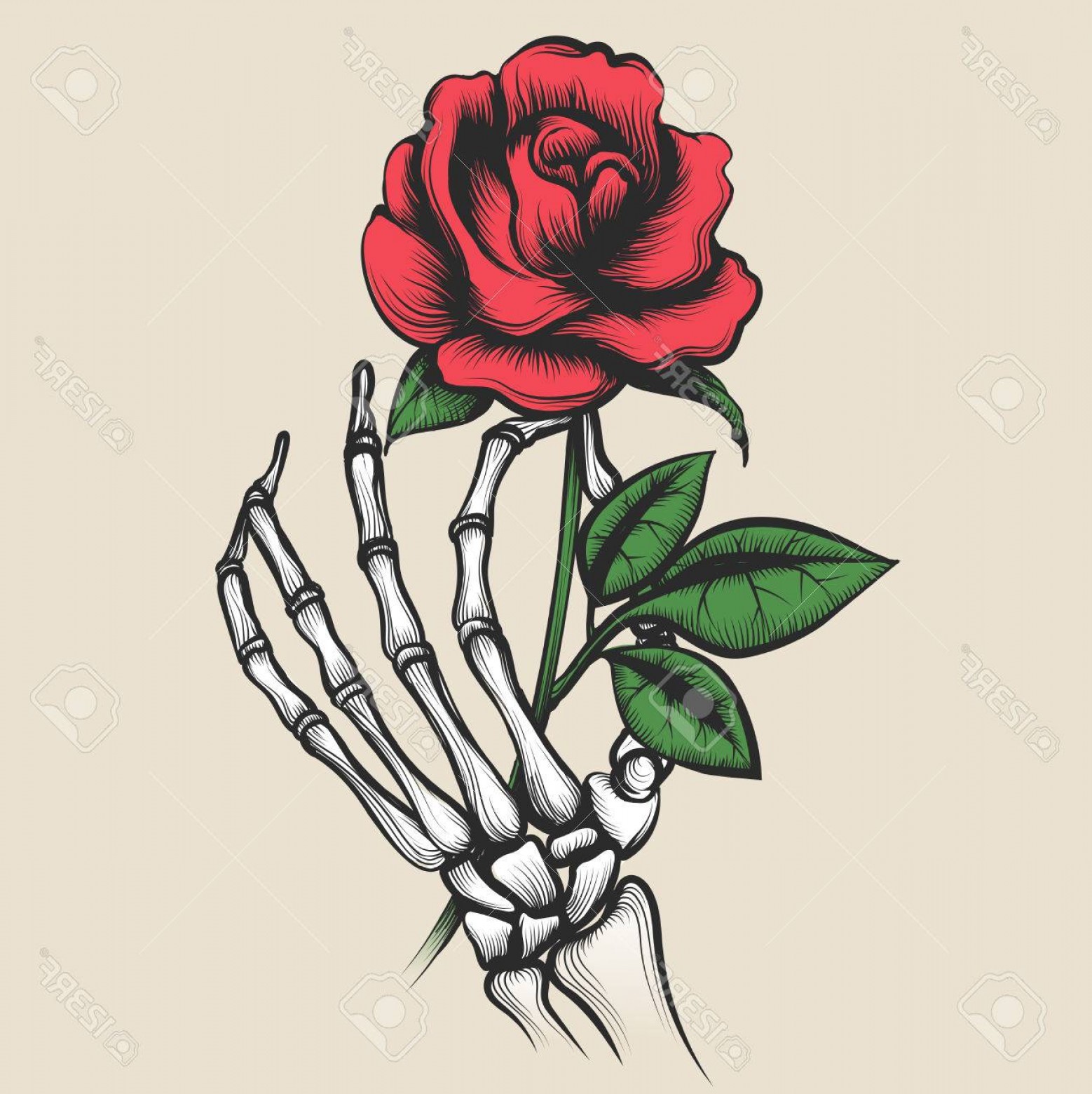 1558x1560 Photostock Vector Skeleton Hand With Rose In Tattoo Style Red