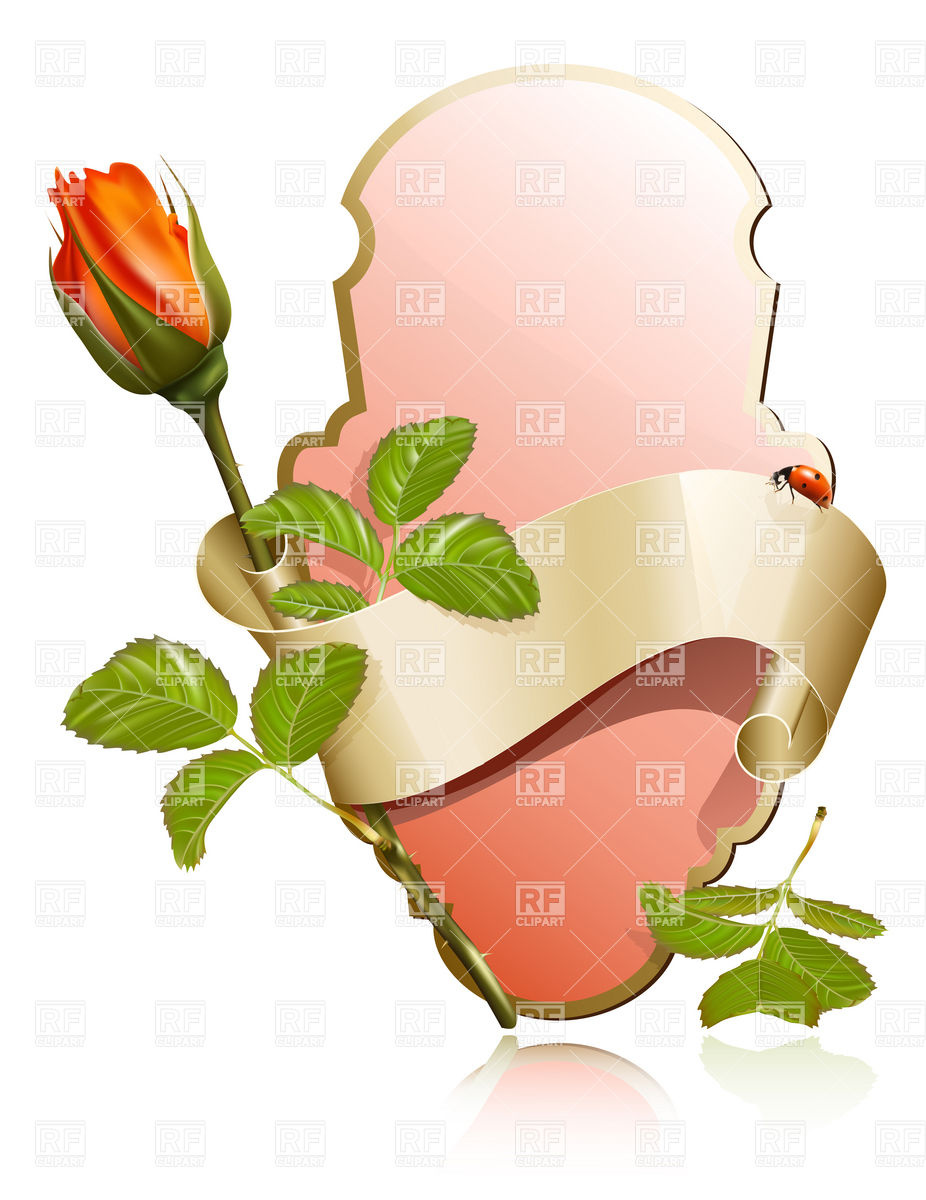 926x1200 Romantic Label With Ribbon And Rose Bud Vector Image Vector