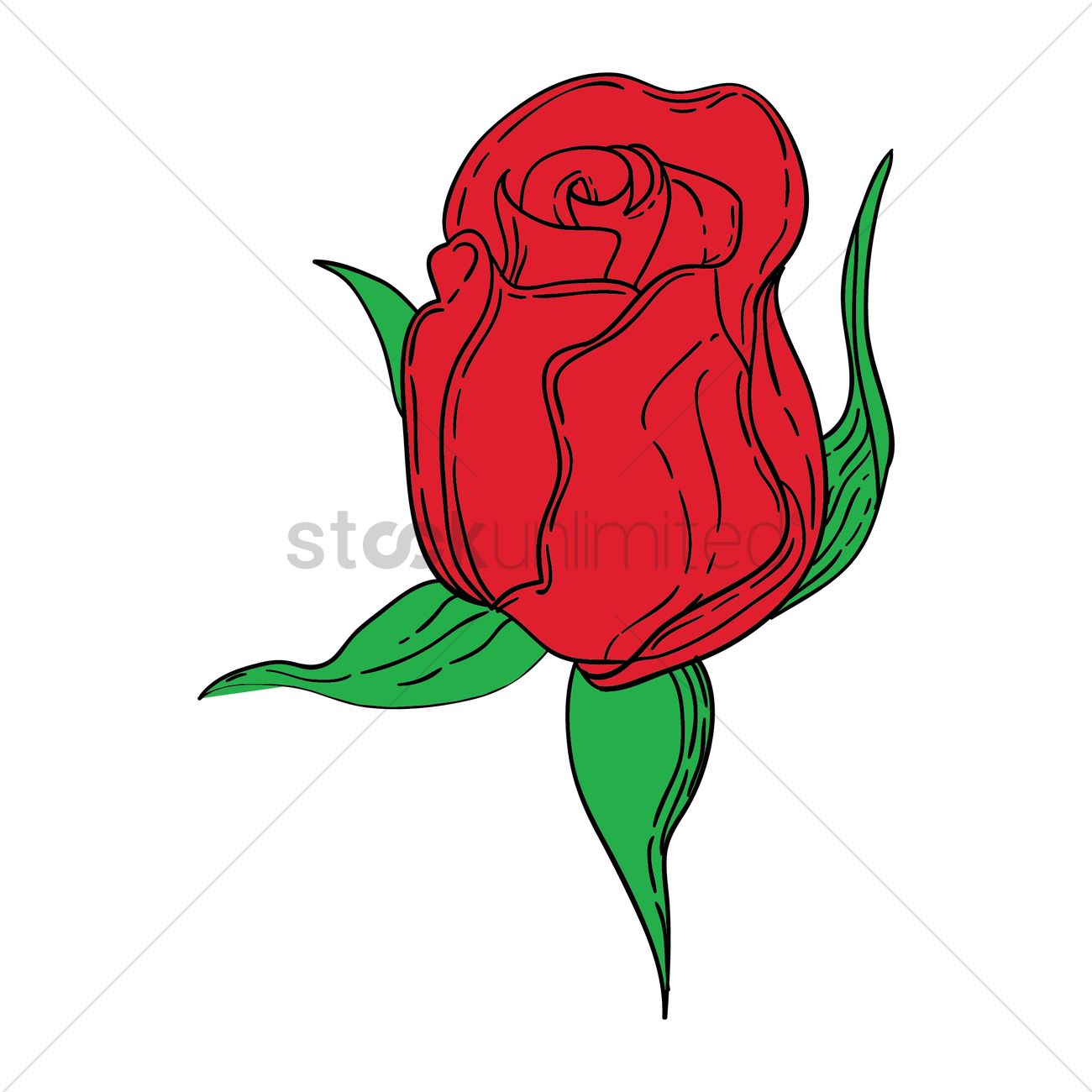 1300x1300 Rose Bud Vector Image