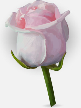 278x368 Rose Bud Free Vector Download (1,191 Free Vector) For Commercial