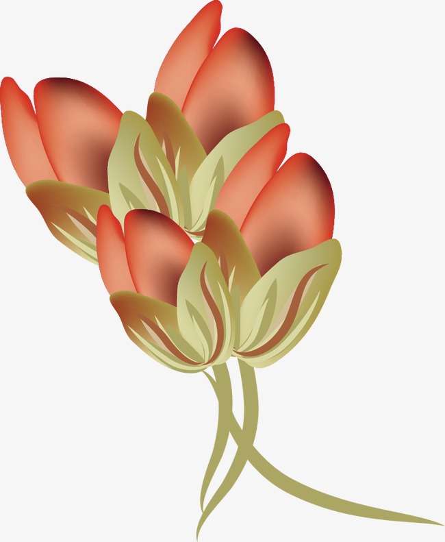 650x791 Vector Rose Bud, Rose Vector, Rose Clipart, Vector Png And Vector