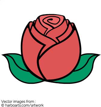 335x355 Download Rose Bud