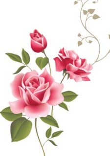 225x317 Rose Flower Vetor 53 Free Vector 4vector