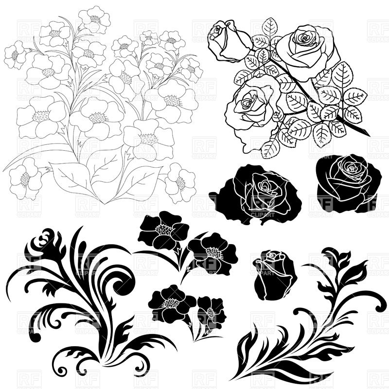 800x800 Silhouettes And Outlines Of Flowers, Roses Vector Image Vector