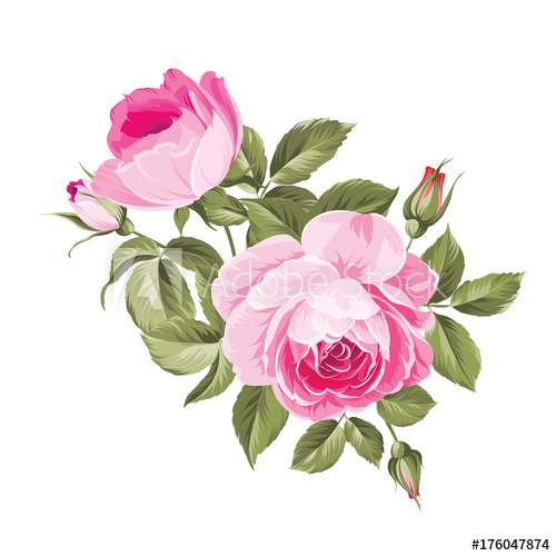 500x500 Spring Flowers Bouquet Of Color Bud Garland. Label With Rose