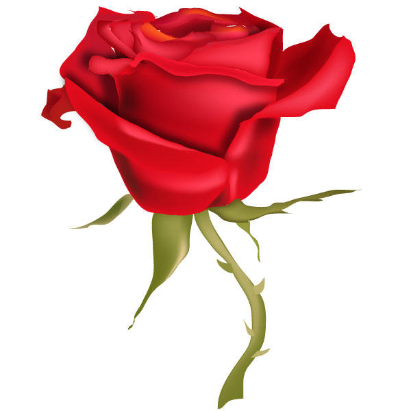 600x600 Free Vector Red Rose Flowers 123freevectors