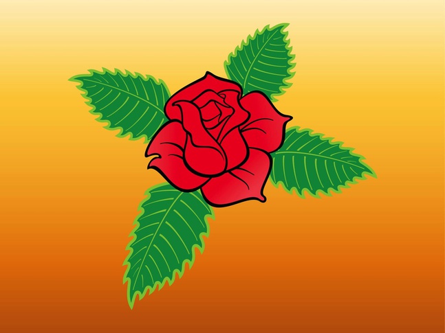 647x485 Red Rose Flower With Fresh Leaves Vector Vector Free Download