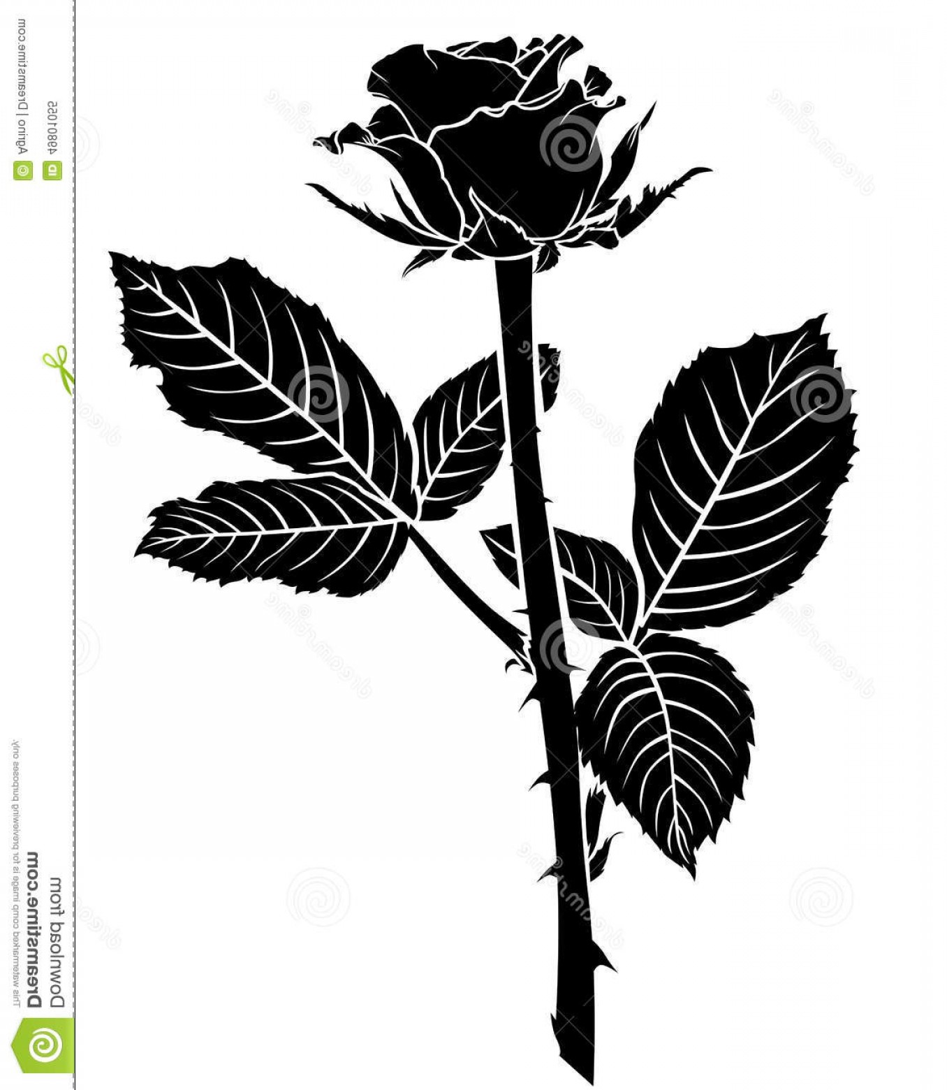1356x1560 Stock Illustration Silhouette Roses Bud Two Large Leaves Vector